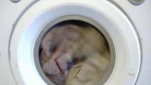 Eumenia EU 350 Baby NOVA program 2  1/2