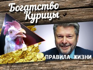 Богатство Курицы: Аэрофоб vs. пилот