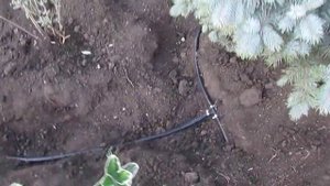 подземная капельная трубка