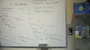 Ринад Минвалеев Старение и остановка возраста