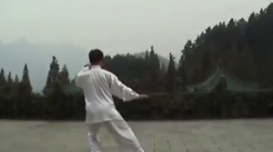 Ван Лин   8 форм Ян сзади