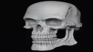 Череп крутится и улыбается мем оригинал