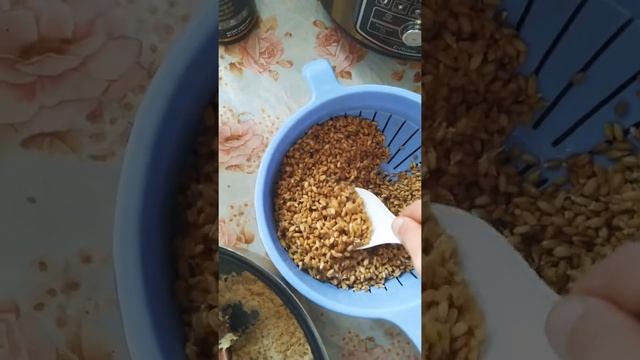 Как приготовить кашу горячего ферментирования из овсяных хлопьев, если у вас нет ферментов смотреть онлайн