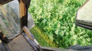 Косим 5 укос люцерны