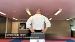 Seiken Kage Tsuki