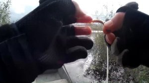 Рыбалка. Окунь в ноябре. Микороджиг.