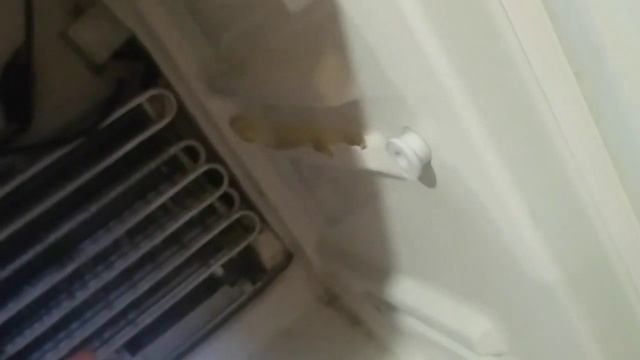 Ремонт холодильника NoFrost Samsung RL33EBSW ошибка d5 не сложно смотреть онлайн