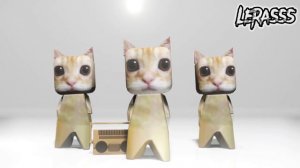 кумалала кумалала кумала савеста