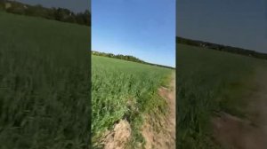 УШЕЛ ОТ 2МОТОБАТОВ И 1 ТАЧКА /ПОГОНЯ ДПС / АЛЬФА/ 2 часть