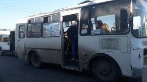 два автобуса паз 32054, маршруты: 22, 218, автобус паз 32053, в456мм156, маршрут 92