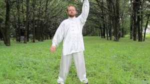 Восемь кусков парчи (3-я форма)