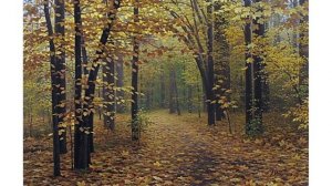 Великолепные осенние пейзажи художника Александра Игнатьева