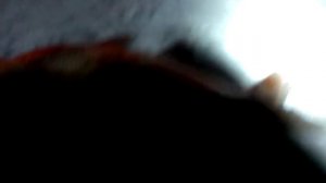 Ловля огромных лещей 3 кг. зима 2014г. Москва-река