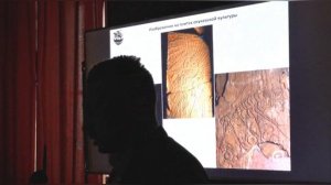 Научно-популярная лекция А.В. Полякова «Тайны древних художников Сибири»