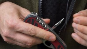 Проверено на себе. Обзор ножа VICTORINOX Forester