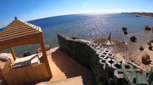 Египет, обзоротеля Монте-Карло бассейн, море, пляж, песокЧАСТЬ-1 прибрежная зона.