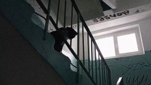 Артон || Парень  из квартиры напротив  || Прекрасное далёко || Кавер