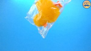 ЕЩЕ 25 СТРАННЫХ АНТИСТРЕССОВ ДЛЯ ЖЕЛЕЙНОГО МЕДВЕДЯ ВАЛЕРЫ | СБОРНИК ЛУЧШИХ АНТСТРЕССОВ