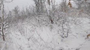 гора Хауазе