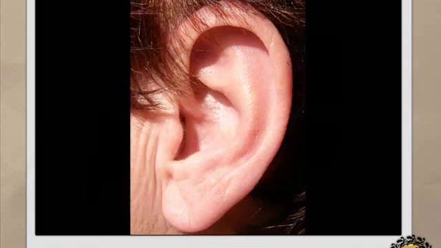 Pecha Kucha and Education смотреть онлайн