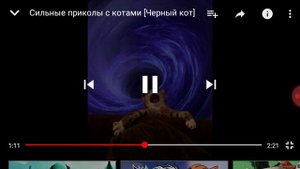 Реакция на Коты ютуберы - Чёрный кот