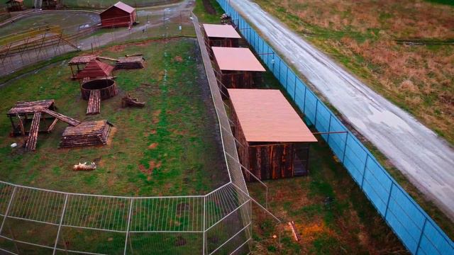 Зоопарк. Белый Лев смотреть онлайн