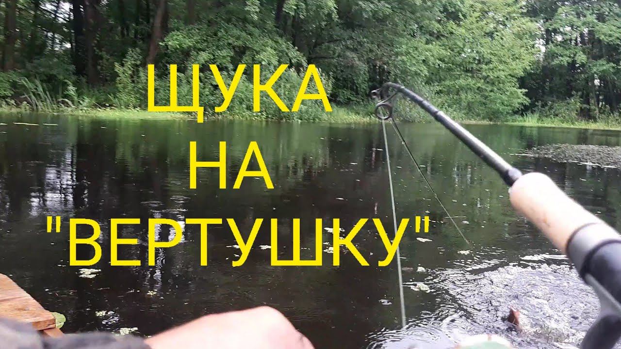 ЩУКА НА "ВЕРТУШКУ" смотреть онлайн