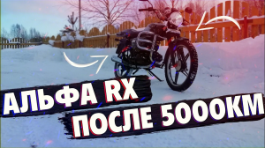 АЛЬФА RX 110 ПОСЛЕ 5.000КМ