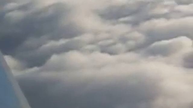 Полет Милан Копенгаген смотреть онлайн