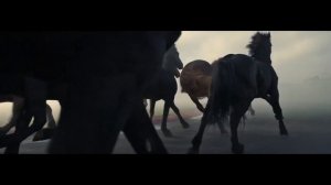 Феррари Пуросанге Ferrari Purosangue