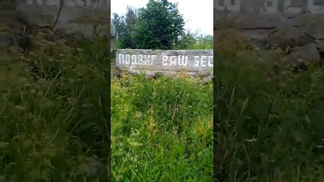 Ленинградская область Красное Село смотреть онлайн