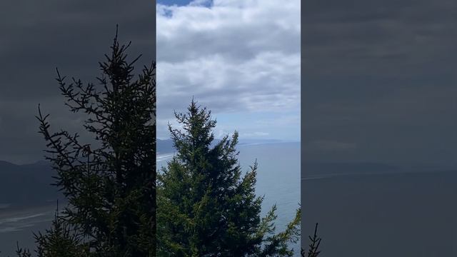 Don't Fall! 🌲 What a drop down! Acadia National Park | Maine, U.S.A.