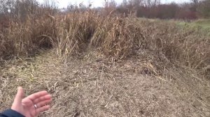 Полторы недели в Польше. Лажу по мусоркам)