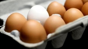 В чем разница между коричневыми и белыми куриными яйцами