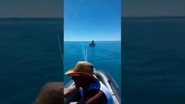 Рыбалка в Сочи в море ловля ставриды на спиннинг с лодки! 15 кг.за 5 часов!