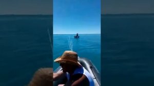 Рыбалка в Сочи в море ловля ставриды на спиннинг с лодки! 15 кг.за 5 часов!
