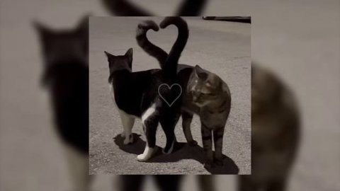 another love - speed up