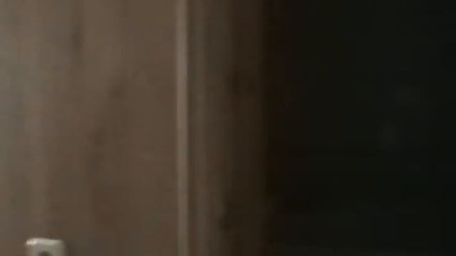 Вызываем египетского кота. Всё получилось!!!!!!!!! смотреть онлайн