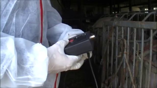 Детектор беременности свиньи смотреть онлайн