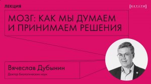 Лекция Вячеслава Дубынина «Мозг: как мы думаем и принимаем решения»