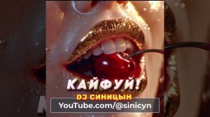 DJ СИНИЦЫН Ft. Сателлит - Кайфуй