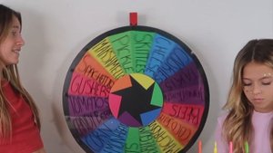MYSTERY WHEEL OF POPSICLE CHALLENGE | Gross! Quinn Sisters