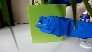 Как снять этикетку и следы от клея с любой поверхности