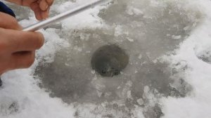 Нерль декабрь 2017