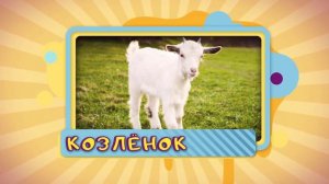 Учим Домашних Животных 🐶 Голоса и Звуки Животных Для Детей 🐷 Как Говорят Животные