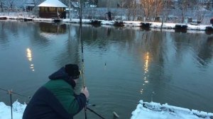 Утро на водоёме РК Фишка Липки