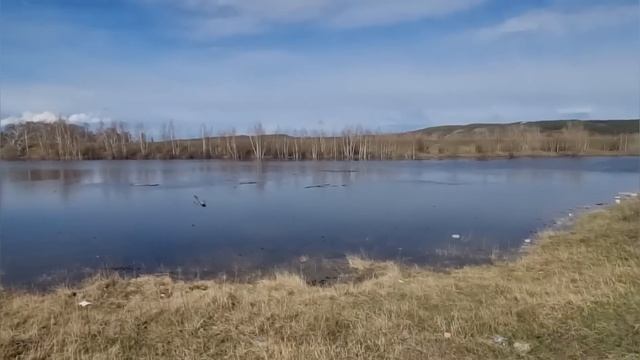 23 мая 2022 г. смотреть онлайн