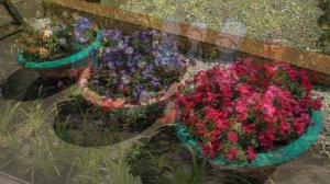 Цветущий город 2023г.