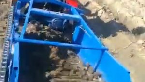 Самодельная однорядная копалка