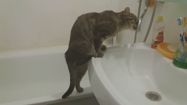 вода-водица